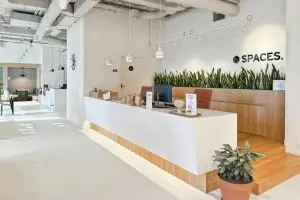 entrada-consultor-marketing-freelancae-madrid